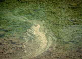 Allergy & Immunology Clinics & Hospitals Near Me: How to Find the Cheapest Care Allergy & Immunology Clinics & Hospitals Near Me: How to Find the Cheapest Care