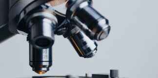 Allergy & Immunology Clinics & Hospitals Near Me: How to Find the Most Professional Services Allergy & Immunology Clinics & Hospitals Near Me: How to Find the Most Professional Services