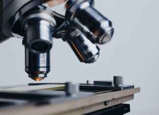 Allergy & Immunology Clinics & Hospitals Near Me: How to Find the Most Professional Services Allergy & Immunology Clinics & Hospitals Near Me: How to Find the Most Professional Services