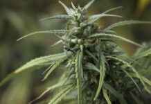 How to Use Apps and Websites to Find Clinics Near Me for Immediate Care How to Use Apps and Websites to Find Clinics Near Me for Immediate Care