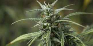 How to Use Apps and Websites to Find Clinics Near Me for Immediate Care How to Use Apps and Websites to Find Clinics Near Me for Immediate Care