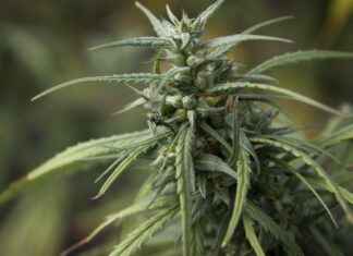 How to Use Apps and Websites to Find Clinics Near Me for Immediate Care How to Use Apps and Websites to Find Clinics Near Me for Immediate Care