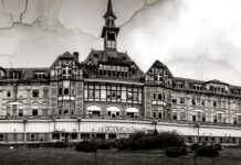 Pediatric Clinics & Hospitals Near Me: How to Find the Most Professional Services Pediatric Clinics & Hospitals Near Me: How to Find the Most Professional Services