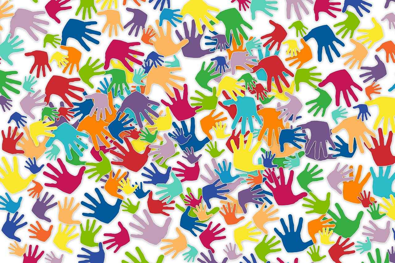 Nonprofit Organizations and Support Groups