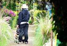 Pulmonology Clinics & Hospitals Near Me: How to Find the Most Professional Services Patient Testimonials and Case Studies