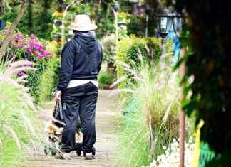 Pulmonology Clinics & Hospitals Near Me: How to Find the Most Professional Services Patient Testimonials and Case Studies