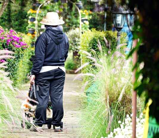 Pulmonology Clinics & Hospitals Near Me: How to Find the Most Professional Services Patient Testimonials and Case Studies