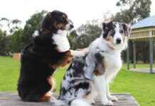 Rheumatology Clinics & Hospitals Near Me: How to Find the Cheapest Care Rheumatology Clinics & Hospitals Near Me: How to Find the Cheapest Care