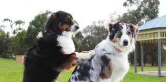 Rheumatology Clinics & Hospitals Near Me: How to Find the Cheapest Care Rheumatology Clinics & Hospitals Near Me: How to Find the Cheapest Care