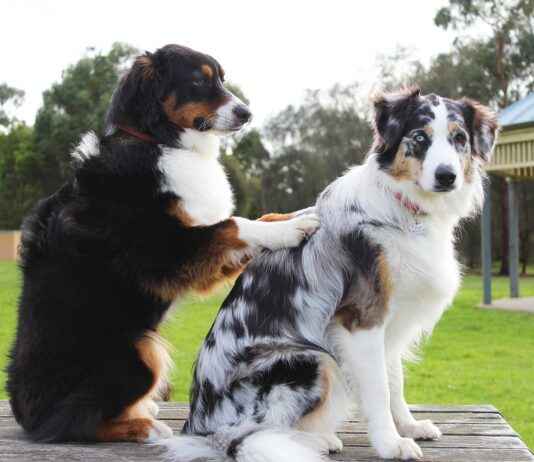 Rheumatology Clinics & Hospitals Near Me: How to Find the Cheapest Care Rheumatology Clinics & Hospitals Near Me: How to Find the Cheapest Care