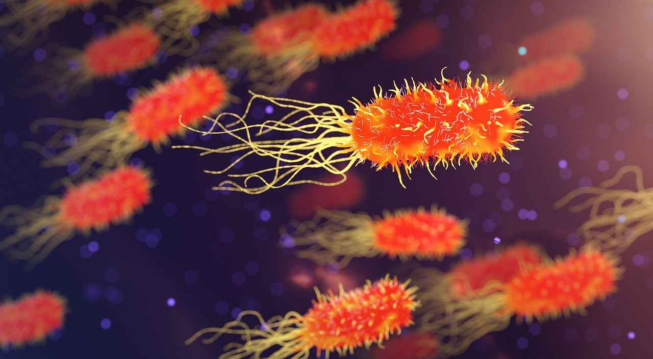 Understanding Rheumatology and Its Importance