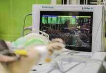 Vascular Surgery Clinics & Hospitals Near Me: How to Find the Cheapest Services Vascular Surgery Clinics & Hospitals Near Me: How to Find the Cheapest Services