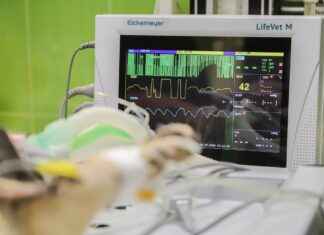 Vascular Surgery Clinics & Hospitals Near Me: How to Find the Cheapest Services Vascular Surgery Clinics & Hospitals Near Me: How to Find the Cheapest Services