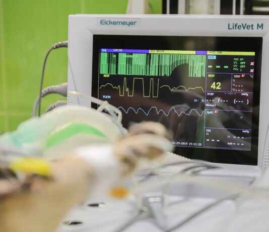 Vascular Surgery Clinics & Hospitals Near Me: How to Find the Cheapest Services Vascular Surgery Clinics & Hospitals Near Me: How to Find the Cheapest Services
